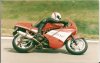 Ducati 900SS at Broadford.jpg