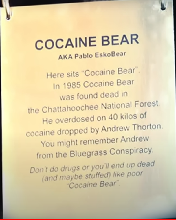 cocain2.PNG