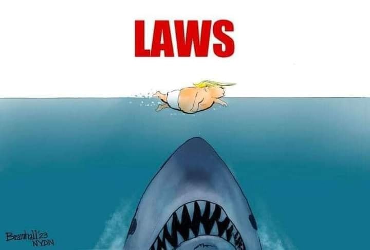 Laws.jpg
